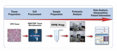 FFPE Protein Analysis Service